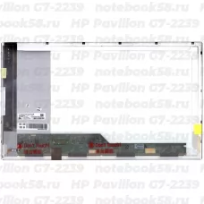 Матрица для ноутбука HP Pavilion G7-2239 (1600x900 HD+) TN, 40pin, Глянцевая