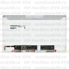 Матрица для ноутбука HP Pavilion DV6-3116 (1366x768 HD) TN, 40pin, Глянцевая