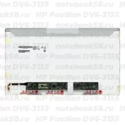 Матрица для ноутбука HP Pavilion DV6-3135 (1366x768 HD) TN, 40pin, Глянцевая