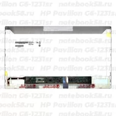 Матрица для ноутбука HP Pavilion G6-1231sr (1366x768 HD) TN, 40pin, Матовая