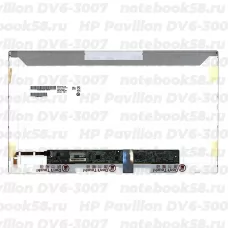 Матрица для ноутбука HP Pavilion DV6-3007 (1366x768 HD) TN, 40pin, Глянцевая