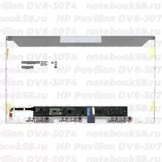 Матрица для ноутбука HP Pavilion DV6-3074 (1366x768 HD) TN, 40pin, Глянцевая