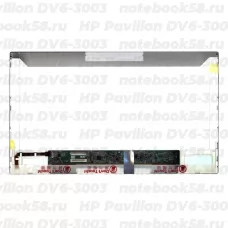 Матрица для ноутбука HP Pavilion DV6-3003 (1366x768 HD) TN, 40pin, Матовая