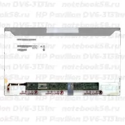 Матрица для ноутбука HP Pavilion DV6-3131nr (1366x768 HD) TN, 40pin, Матовая