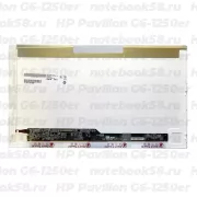 Матрица для ноутбука HP Pavilion G6-1250er (1366x768 HD) TN, 40pin, Глянцевая