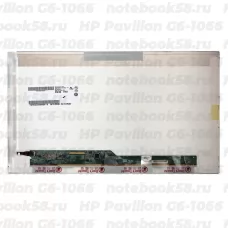 Матрица для ноутбука HP Pavilion G6-1066 (1366x768 HD) TN, 40pin, Глянцевая