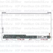 Матрица для ноутбука HP Pavilion G6-2319nr (1366x768 HD) TN, 40pin, Глянцевая