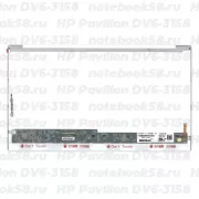 Матрица для ноутбука HP Pavilion DV6-3158 (1366x768 HD) TN, 40pin, Глянцевая