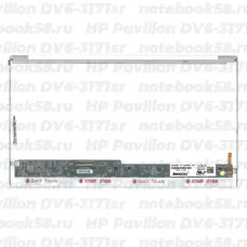 Матрица для ноутбука HP Pavilion DV6-3171sr (1366x768 HD) TN, 40pin, Глянцевая