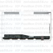 Матрица для ноутбука HP Pavilion DV6-3100 (1366x768 HD) TN, 40pin, Глянцевая