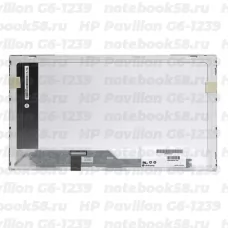 Матрица для ноутбука HP Pavilion G6-1239 (1366x768 HD) TN, 40pin, Глянцевая