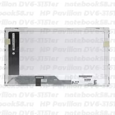 Матрица для ноутбука HP Pavilion DV6-3151er (1366x768 HD) TN, 40pin, Глянцевая