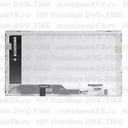 Матрица для ноутбука HP Pavilion DV6-3166 (1366x768 HD) TN, 40pin, Глянцевая