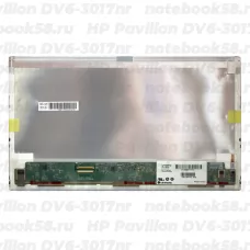 Матрица для ноутбука HP Pavilion DV6-3017nr (1366x768 HD) TN, 40pin, Матовая