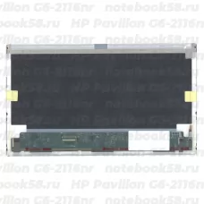 Матрица для ноутбука HP Pavilion G6-2116nr (1366x768 HD) TN, 40pin, Матовая