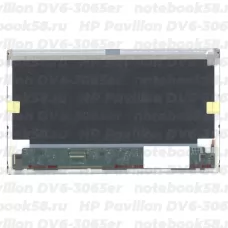 Матрица для ноутбука HP Pavilion DV6-3065er (1366x768 HD) TN, 40pin, Матовая