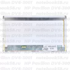 Матрица для ноутбука HP Pavilion DV6-3001 (1366x768 HD) TN, 40pin, Матовая