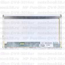 Матрица для ноутбука HP Pavilion DV6-3016er (1366x768 HD) TN, 40pin, Матовая