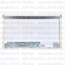 Матрица для ноутбука HP Pavilion DV6-3025er (1366x768 HD) TN, 40pin, Матовая