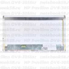 Матрица для ноутбука HP Pavilion DV6-3055sr (1366x768 HD) TN, 40pin, Матовая