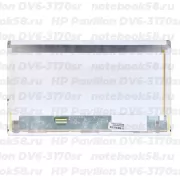 Матрица для ноутбука HP Pavilion DV6-3170sr (1366x768 HD) TN, 40pin, Матовая