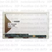 Матрица для ноутбука HP Pavilion G6-1b79 (1366x768 HD) TN, 40pin, Матовая