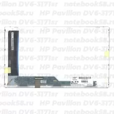 Матрица для ноутбука HP Pavilion DV6-3171sr (1366x768 HD) TN, 40pin, Матовая