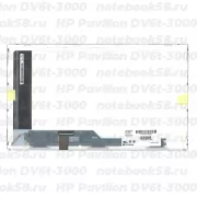 Матрица для ноутбука HP Pavilion DV6t-3000 (1366x768 HD) TN, 40pin, Матовая