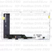 Матрица для ноутбука HP Pavilion DV6-3100 (1366x768 HD) TN, 40pin, Матовая