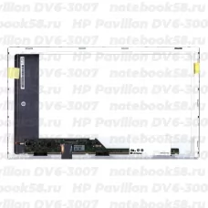 Матрица для ноутбука HP Pavilion DV6-3007 (1366x768 HD) TN, 40pin, Матовая