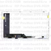 Матрица для ноутбука HP Pavilion DV6-3029 (1366x768 HD) TN, 40pin, Матовая