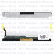 Матрица для ноутбука HP Pavilion DV6-3066 (1366x768 HD) TN, 40pin, Глянцевая