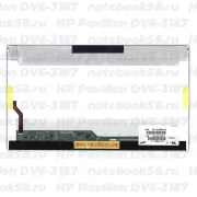 Матрица для ноутбука HP Pavilion DV6-3187 (1366x768 HD) TN, 40pin, Глянцевая