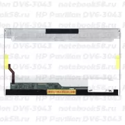 Матрица для ноутбука HP Pavilion DV6-3043 (1366x768 HD) TN, 40pin, Глянцевая