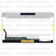 Матрица для ноутбука HP Pavilion DV6-3077 (1366x768 HD) TN, 40pin, Глянцевая