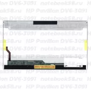 Матрица для ноутбука HP Pavilion DV6-3091 (1366x768 HD) TN, 40pin, Глянцевая