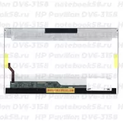 Матрица для ноутбука HP Pavilion DV6-3158 (1366x768 HD) TN, 40pin, Глянцевая