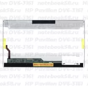 Матрица для ноутбука HP Pavilion DV6-3161 (1366x768 HD) TN, 40pin, Глянцевая