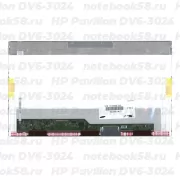 Матрица для ноутбука HP Pavilion DV6-3024 (1366x768 HD) TN, 40pin, Глянцевая