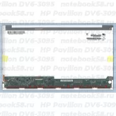 Матрица для ноутбука HP Pavilion DV6-3095 (1366x768 HD) TN, 40pin, Глянцевая