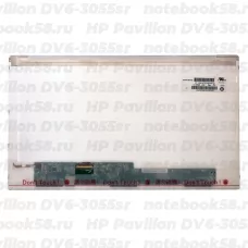 Матрица для ноутбука HP Pavilion DV6-3055sr (1366x768 HD) TN, 40pin, Матовая