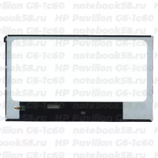 Матрица для ноутбука HP Pavilion G6-1c60 (1366x768 HD) TN, 40pin, Глянцевая