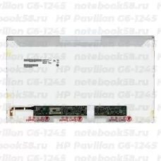 Матрица для ноутбука HP Pavilion G6-1245 (1366x768 HD) TN, 40pin, Глянцевая