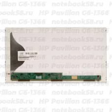 Матрица для ноутбука HP Pavilion G6-1366 (1366x768 HD) TN, 40pin, Матовая