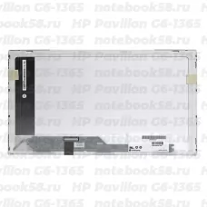 Матрица для ноутбука HP Pavilion G6-1365 (1366x768 HD) TN, 40pin, Глянцевая