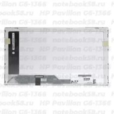 Матрица для ноутбука HP Pavilion G6-1366 (1366x768 HD) TN, 40pin, Глянцевая