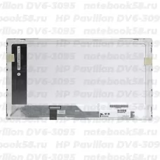 Матрица для ноутбука HP Pavilion DV6-3095 (1366x768 HD) TN, 40pin, Глянцевая