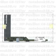 Матрица для ноутбука HP Pavilion G6-1231er (1366x768 HD) TN, 40pin, Глянцевая