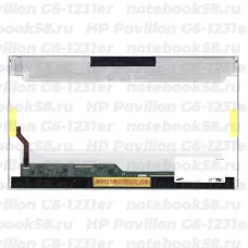 Матрица для ноутбука HP Pavilion G6-1231er (1366x768 HD) TN, 40pin, Глянцевая