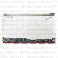 Матрица для ноутбука HP Pavilion G6-2177 (1366x768 HD) TN, 40pin, Глянцевая